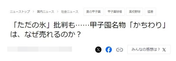 甲子園かちわり氷・口コミ