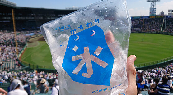 2023甲子園のかちわり氷