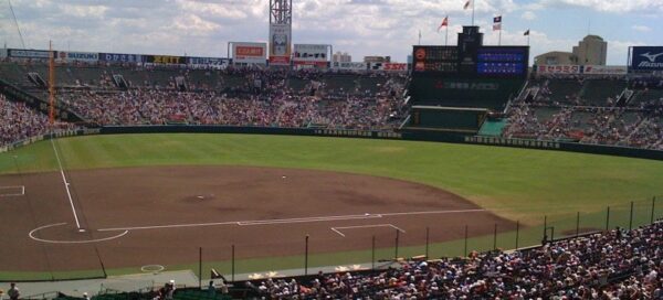 甲子園の内野芝はなぜ天然芝ではない？