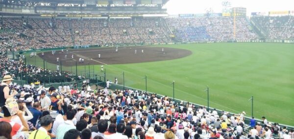 甲子園の内野芝はなぜ天然芝ではない？