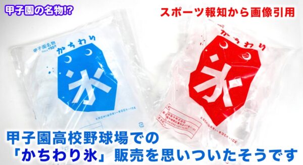 2023甲子園のかちわり氷