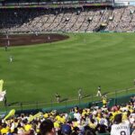 【広さのヘクタール比較がヤバい】甲子園／坪数＆面積や何個分に値する？