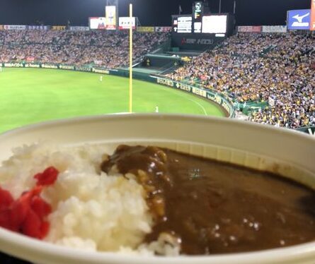 甲子園カレー／価値