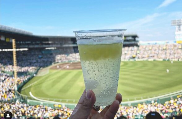 甲子園のチューハイ