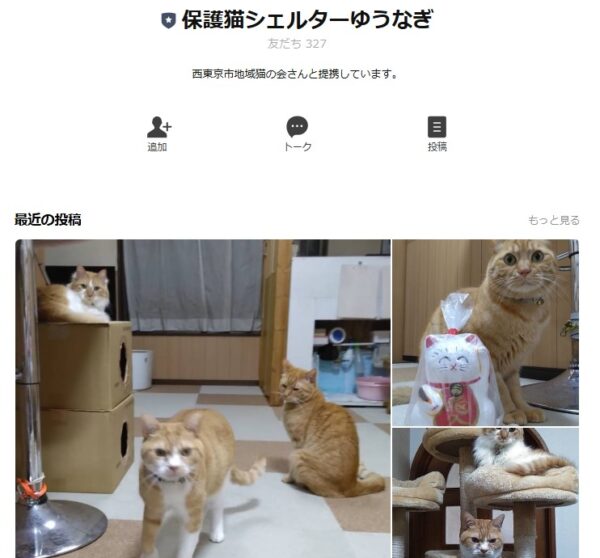 保護猫シェルターゆうなぎ